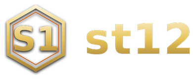st12 logo